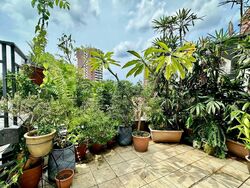 The Taipan (D16), Apartment #505002751